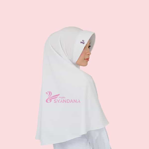 Jual jilbab bergo syari